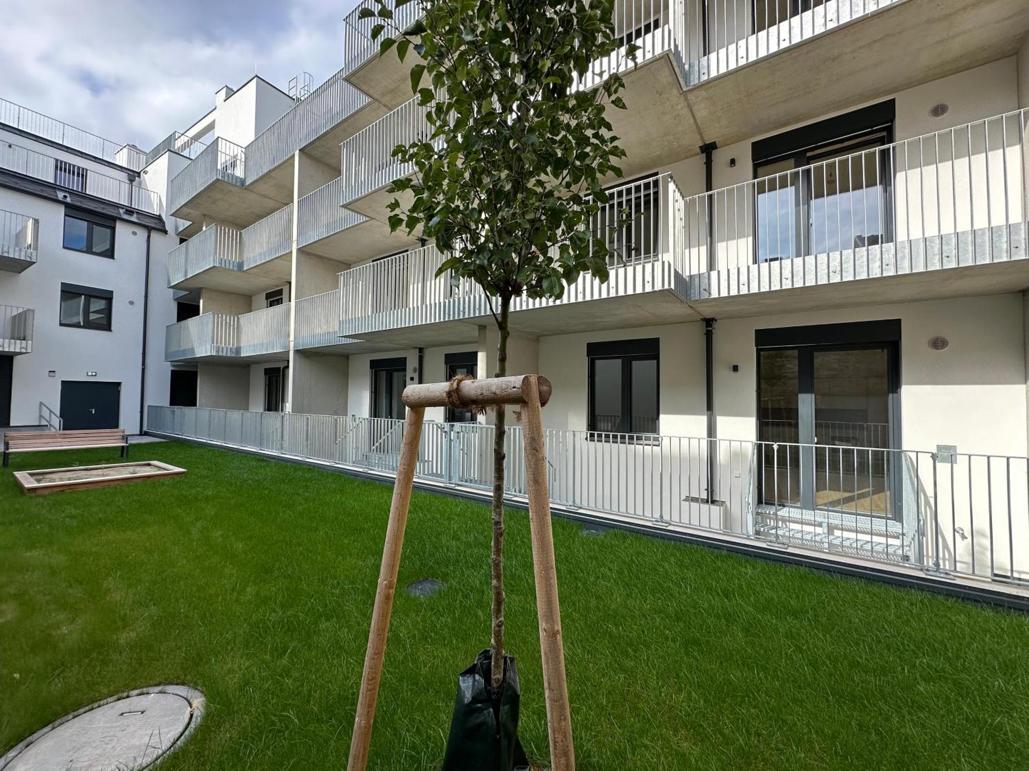 Schoenbrunn Garden Apartments Відень Екстер'єр фото